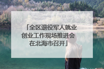 全区退役军人就业创业工作现场推进会在北海市召开